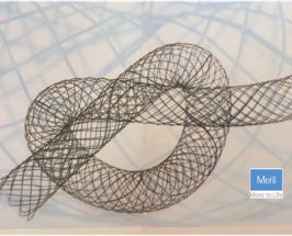 Stent Medicado – MERIL LIFE